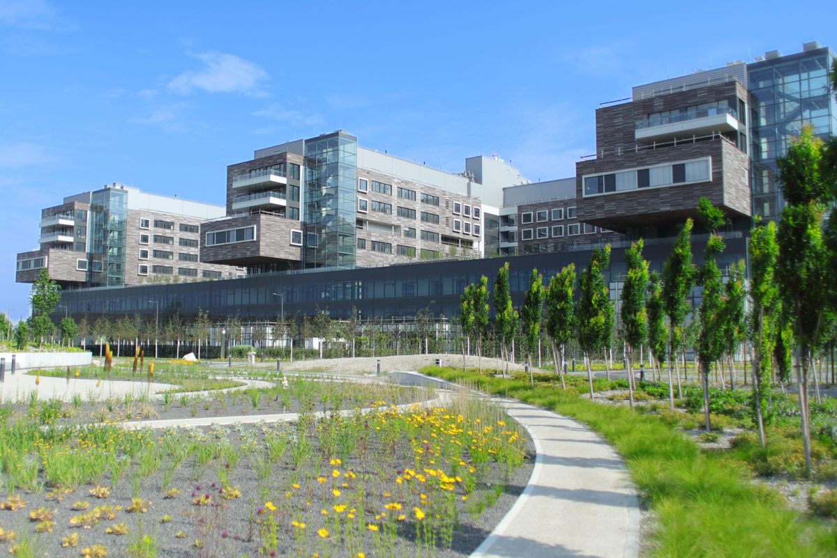 © KAV Das begrünte Krankenhaus in Floridsdorf