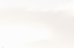 Teil eines aufgesplitteten Fotos des Rathaus. Auf diesem ist ein heller Himmel zu sehen.