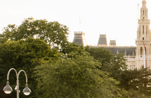 Teil eines aufgesplitteten Fotos des Rathaus. Auf diesem ist die linke Seite des Dachs mit kleinen Türmen zu sehen und Laubbaumspitzen.