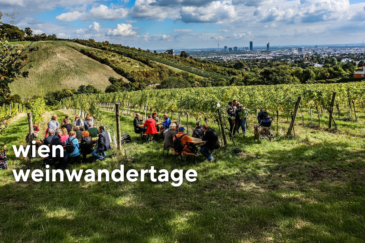 Eine Personengruppe in den Wiener Weinbergen.